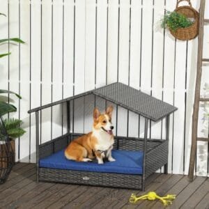 How to Choose the Perfect Dog Beds and Furniture for Comfort and Support