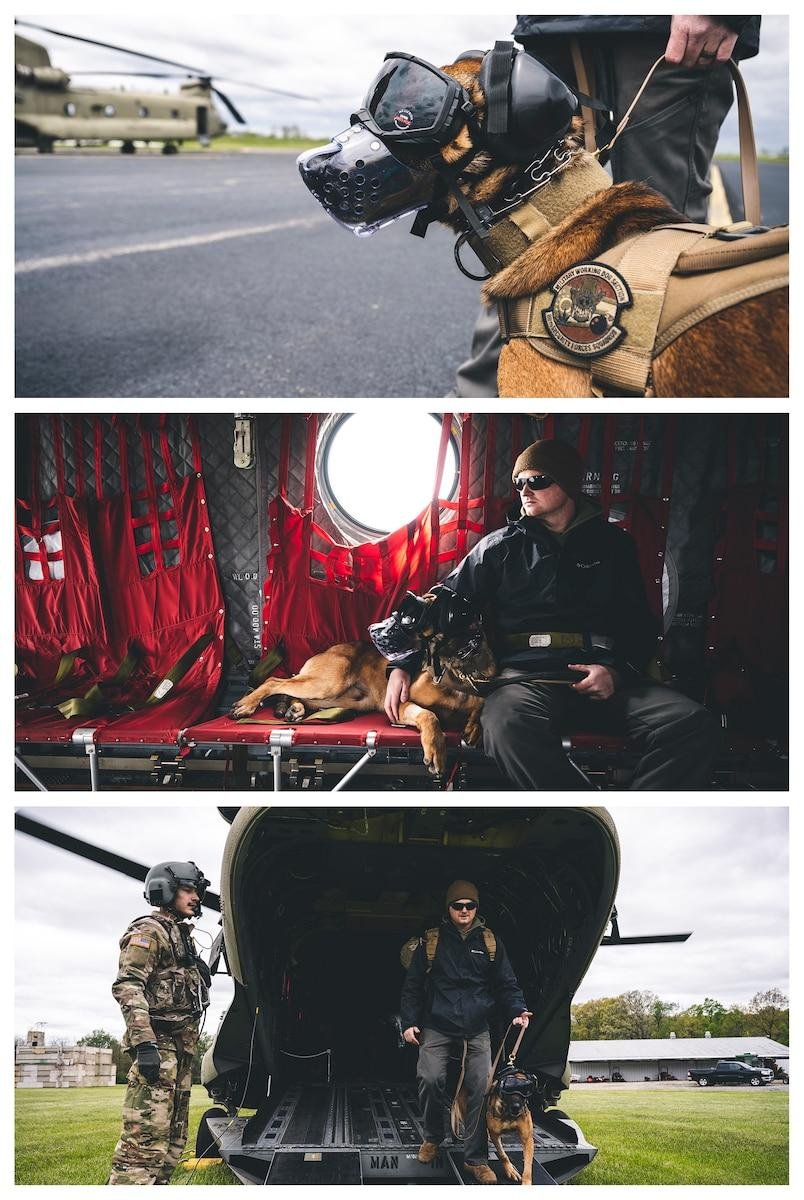 Understanding the Signs ‍of Your Puppy’s First Heat Cycle