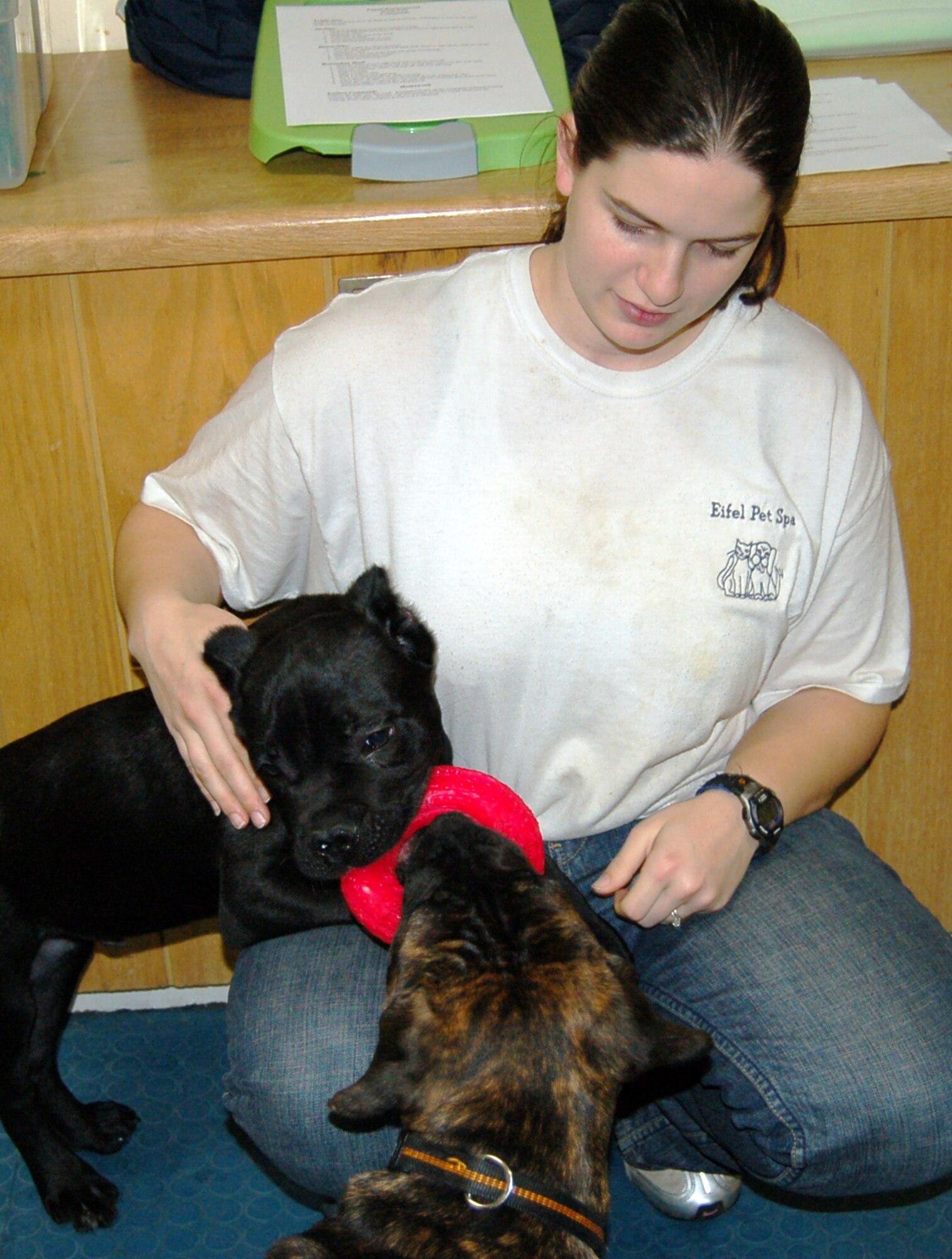 When Your Puppy Gets Her First Period: What to Expect