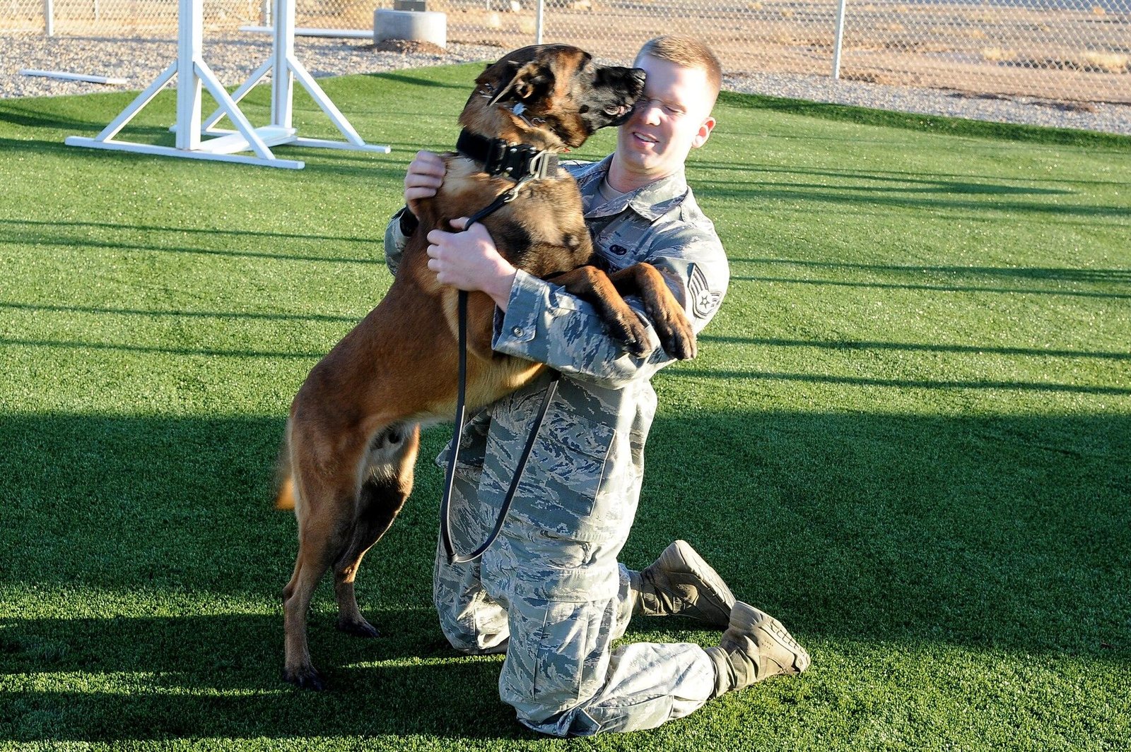 Understanding Canine Communication skills