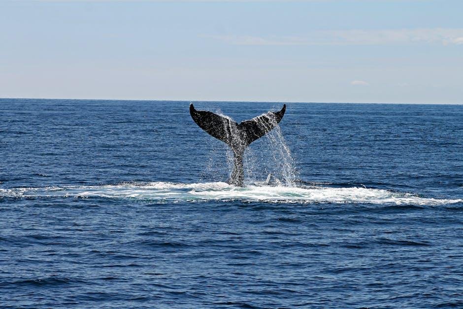Exploring the‌ Origins of Whales: A Journey Back in Time