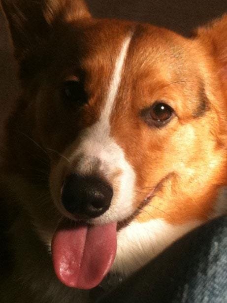 Choosing the Right Socialization Settings