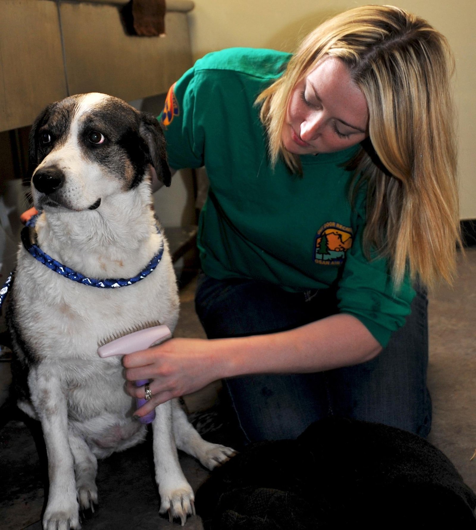 Choosing‌ the Right ⁢Care Provider⁤ for Your Furry Friend