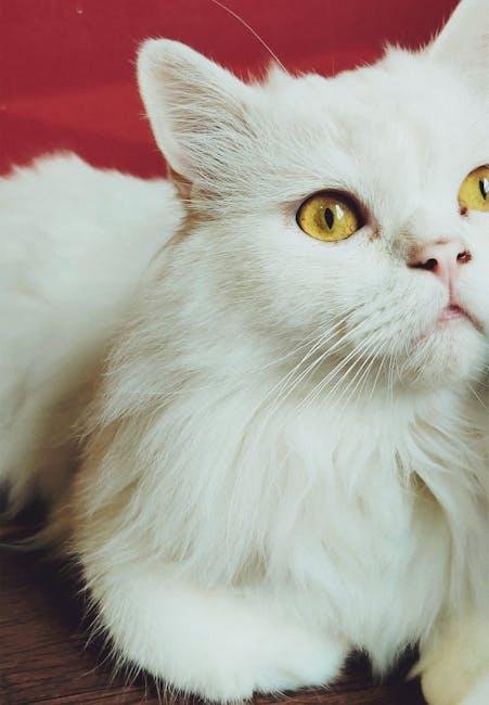 Choosing the right Tools ‍for​ Grooming Your ⁣Long-Haired Cat​ at Home