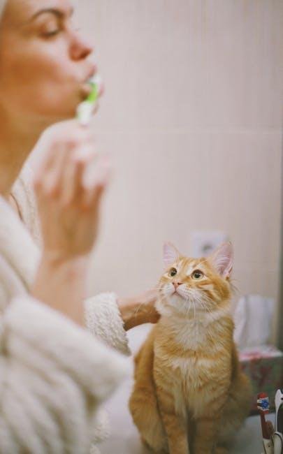 Best cat grooming brushes for shedding season