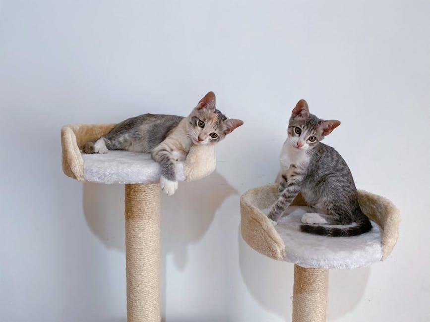 Top Features to Consider for Cat Towers in Compact Apartments