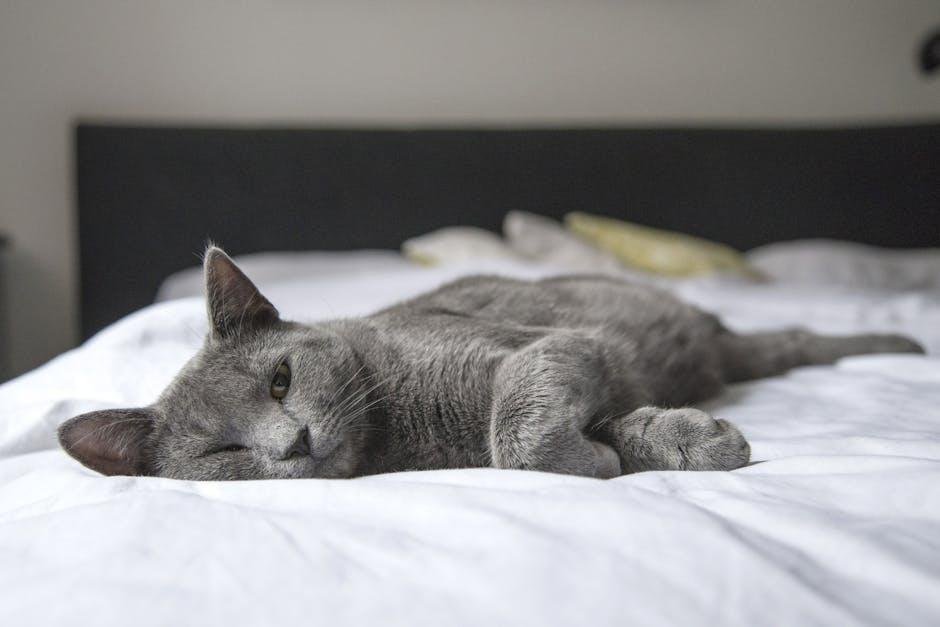 Cat beds vs. regular cushions: Why specialized furniture matters
