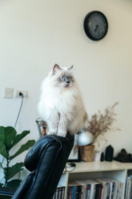 Understanding the Unique Needs of cats in ‌Furniture Design