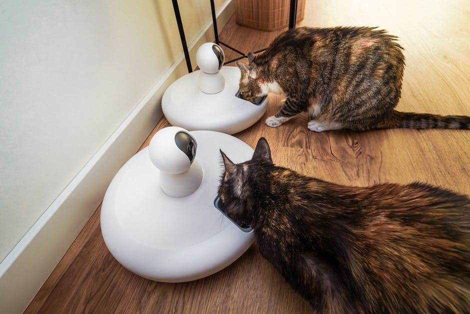 Timed cat ​feeders vs. free feeding: ‍which one ​is better?