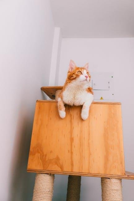 Choosing the right Cat Climbing Tower for Small Living Spaces